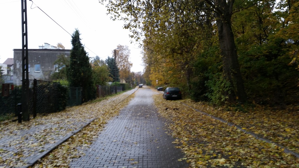 coaching - ponury widok