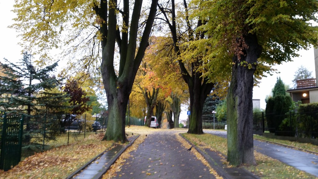 coaching - optymistyczny widok1