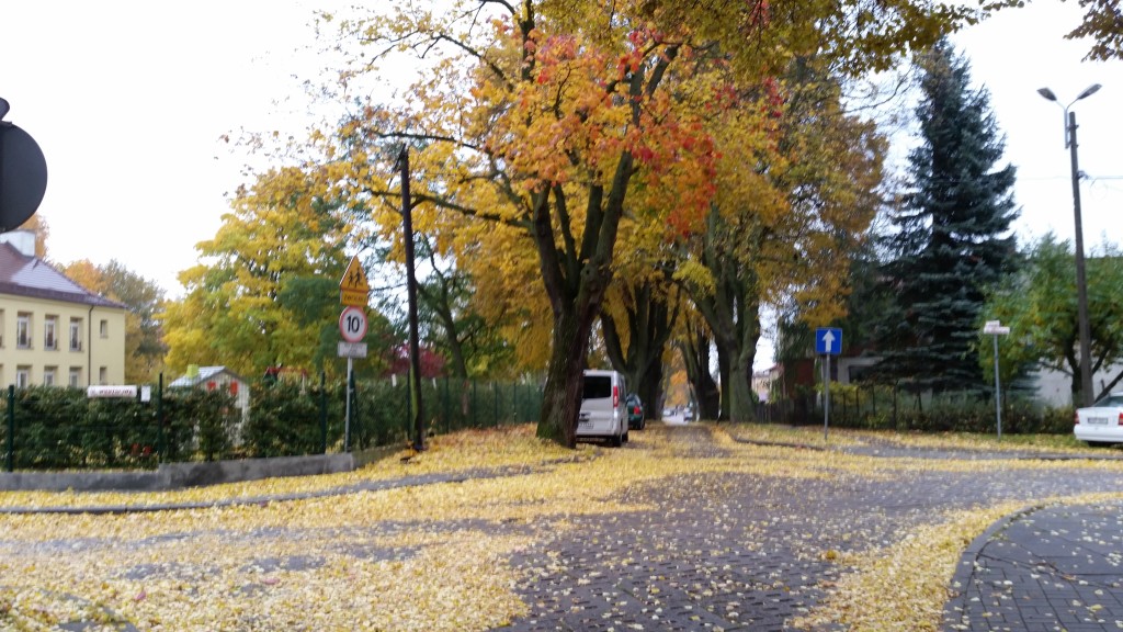 coaching - optymistyczny widok2