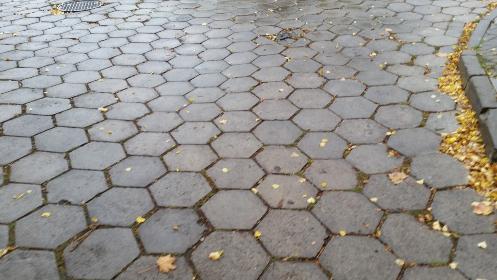 coaching - mokry bruk