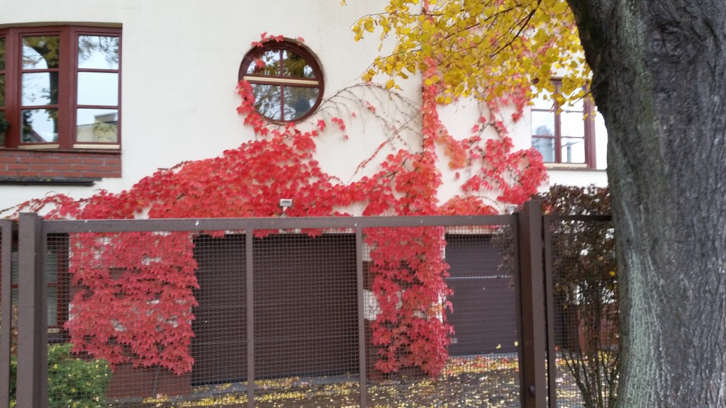 coaching - optymistyczny widok3