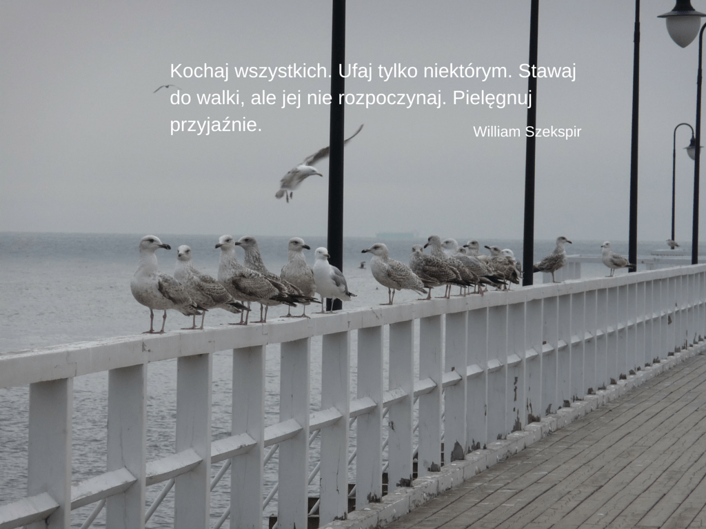 Rafał Markiewicz- coach - coaching - lifefactory - graj